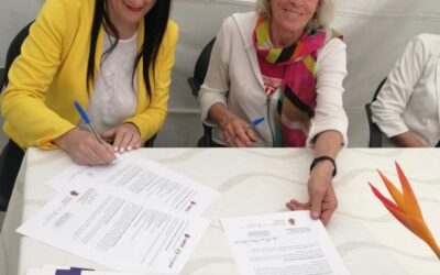 The Rewards of Being Persistent in Getting Move With Balance® into your City